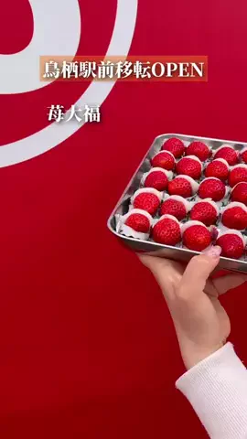 たかはしめしのTikTok投稿