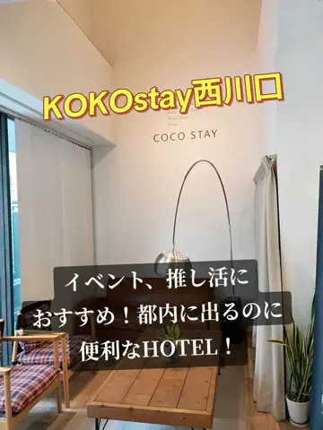 トータスのTikTok投稿