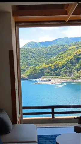 トータスのTikTok投稿