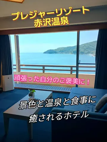 トータスのTikTok投稿