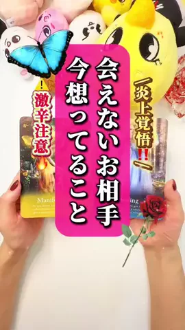 ぱるこ🌹タロット姉さんのTikTok投稿