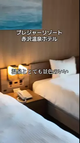 トータスのTikTok投稿