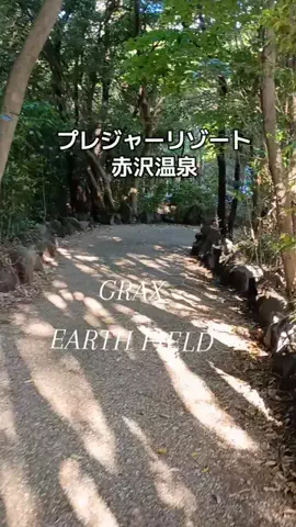 トータスのTikTok投稿
