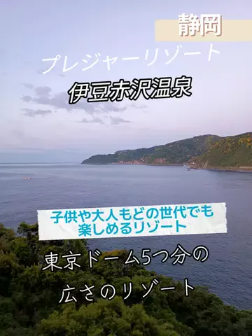 トータスのTikTok投稿