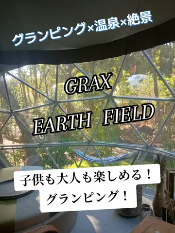 トータスのTikTok投稿