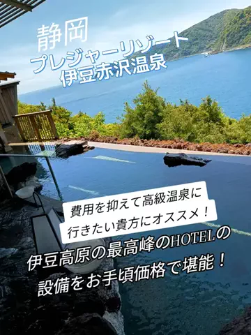 トータスのTikTok投稿