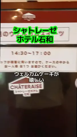 トータスのTikTok投稿