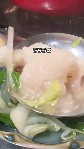 きみちゃん🩵🥗|管理栄養士のTikTok投稿