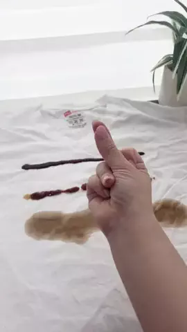 ぬい𓅮ちょいラクするための暮らしメモのTikTok投稿
