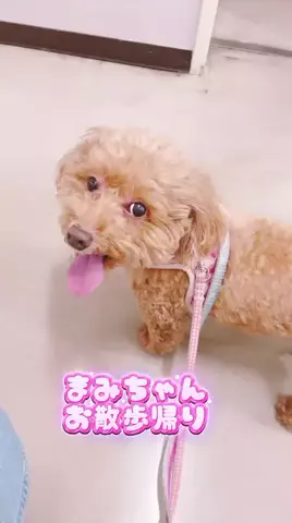 Aoyama hikariのTikTok投稿