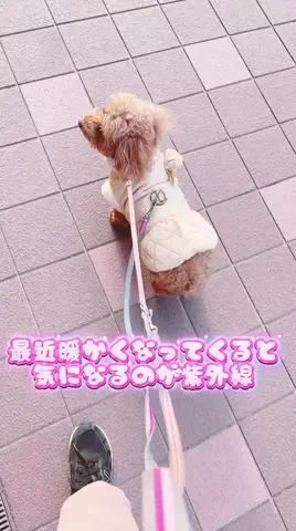 Aoyama hikariのTikTok投稿