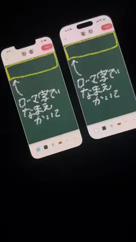 ぽん太のTikTok投稿