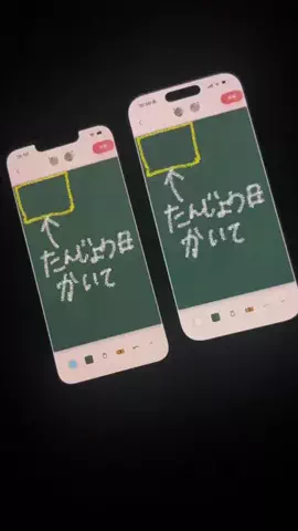 ぽん太のTikTok投稿