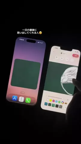 ぽん太のTikTok投稿
