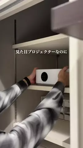 わんさんのTikTok投稿