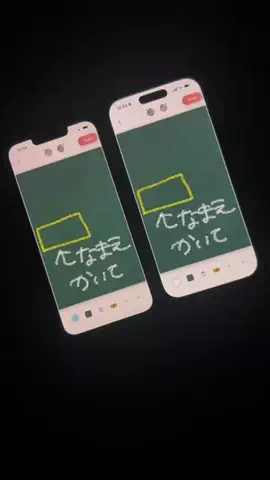ぽん太のTikTok投稿