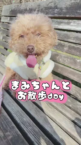 Aoyama hikariのTikTok投稿