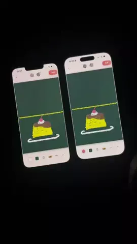 ぽん太のTikTok投稿