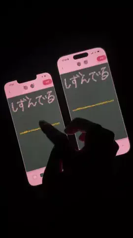 ぽん太のTikTok投稿