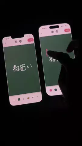 ぽん太のTikTok投稿