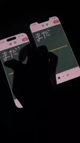 ぽん太のTikTok投稿