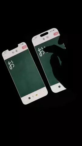 ぽん太のTikTok投稿