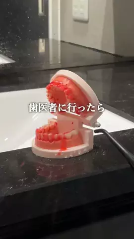 わんさんのTikTok投稿