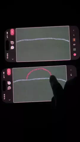 ぽん太のTikTok投稿