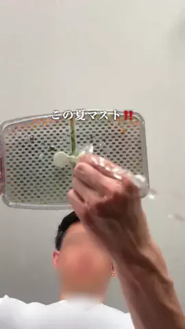 わんさんのTikTok投稿