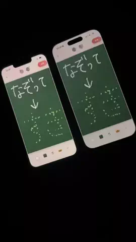 ぽん太のTikTok投稿