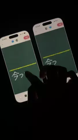 ぽん太のTikTok投稿