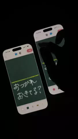 ぽん太のTikTok投稿