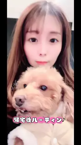 Aoyama hikariのTikTok投稿