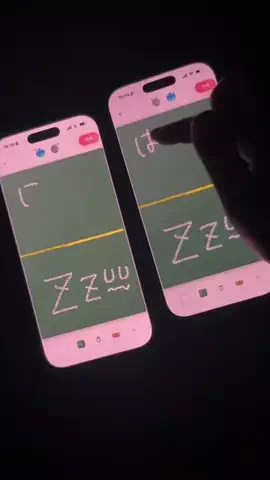 ぽん太のTikTok投稿