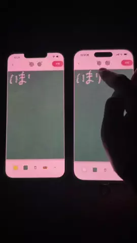 ぽん太のTikTok投稿