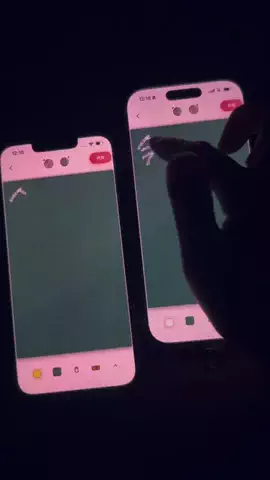 ぽん太のTikTok投稿