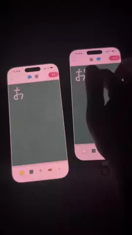 ぽん太のTikTok投稿