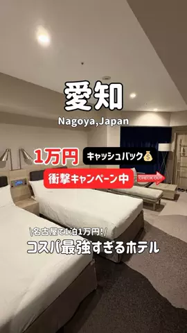 ゆいたす✈︎年100泊する旅好きカップルのTikTok投稿