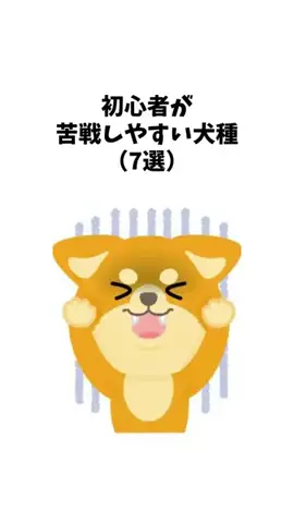 わんことの素敵な日常のTikTok投稿