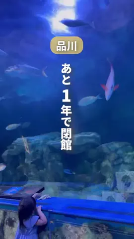 user55863167506のTikTok投稿