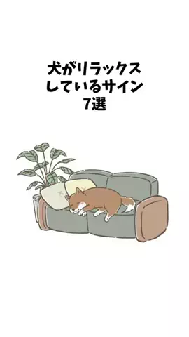 わんことの素敵な日常のTikTok投稿