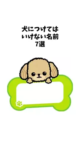 わんことの素敵な日常のTikTok投稿