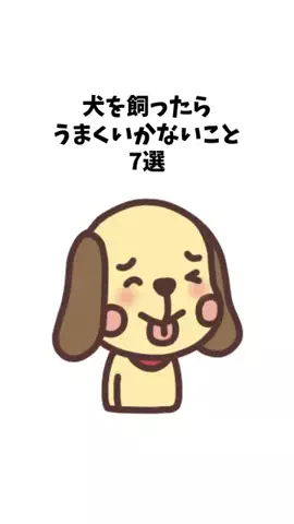 わんことの素敵な日常のTikTok投稿