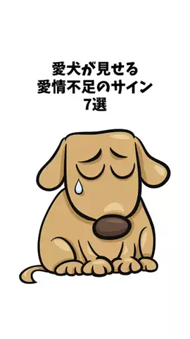 わんことの素敵な日常のTikTok投稿