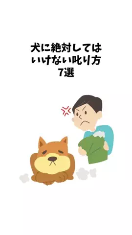 わんことの素敵な日常のTikTok投稿