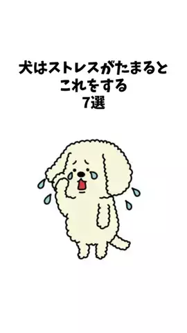 わんことの素敵な日常のTikTok投稿