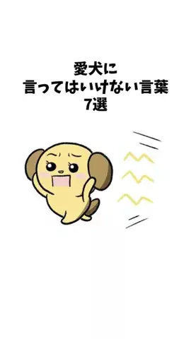 わんことの素敵な日常のTikTok投稿