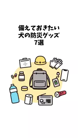 わんことの素敵な日常のTikTok投稿