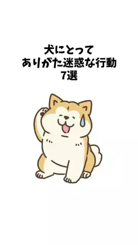 わんことの素敵な日常のTikTok投稿