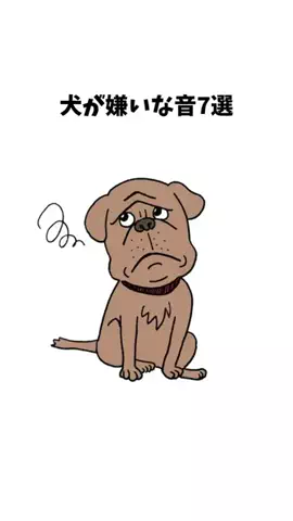 わんことの素敵な日常のTikTok投稿